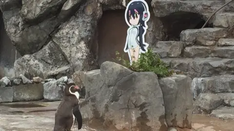 Penguin in Japan Heartbroken After Zookeeper Takes His Beloved Anime 'Wife'