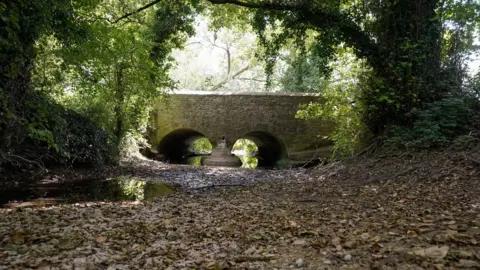 PA Media A dried up bed of the River Thames near to Somerford Keynes in Gloucestershire