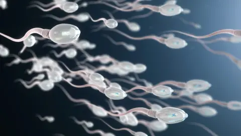 Getty Images Illustration of sperm