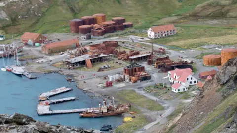 GETTY IMAGES Commercial whaling at South Georgia ended in the 1960s - but the scars remain