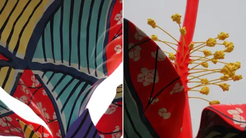 Tom Airey/BBC Hibiscus Rising