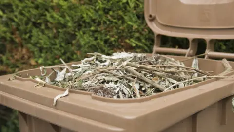 Getty Images Brown bin and garden waste