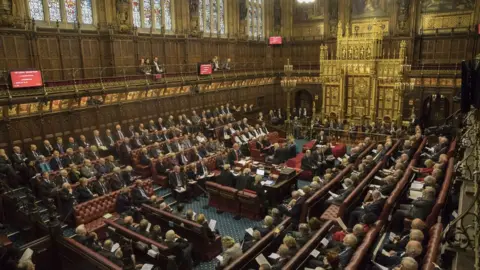 PA Peers in the House of Lords