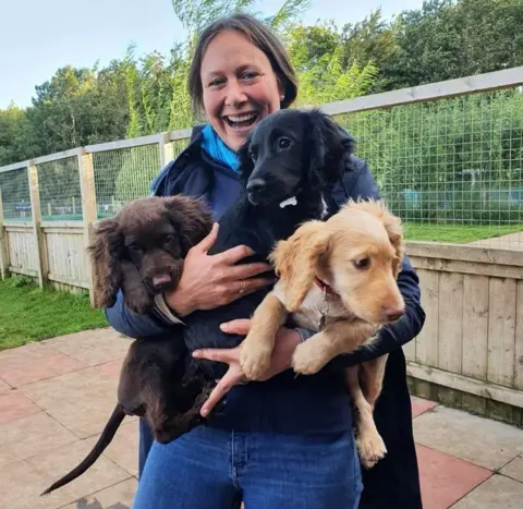 Citidogs Creche Sarah McLean