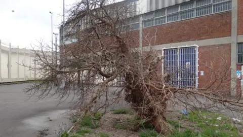 HMP Wakefield Wakefield Mulberry