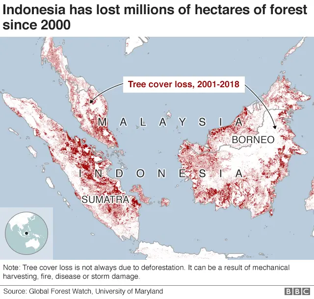 Map showing that Indonesia and the surrounding area has seen million of hectares of tree cover loss since 200