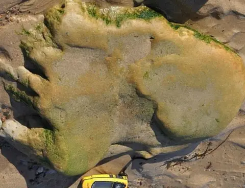 Dr Neil Clark Dinosaur footprint