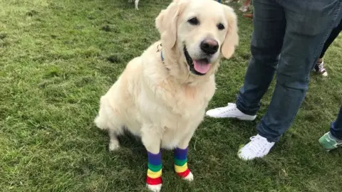 BBC A dog wearing rainbow socks