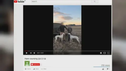 YouTube Hare coursing video on YouTube