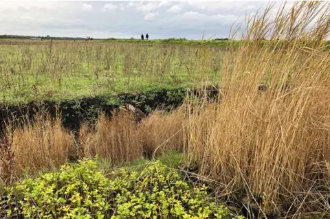 PA Media Peatland restoration