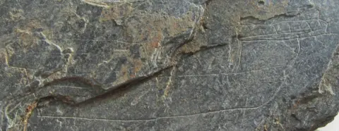 Guernsey Museums Slate drawing of a boat