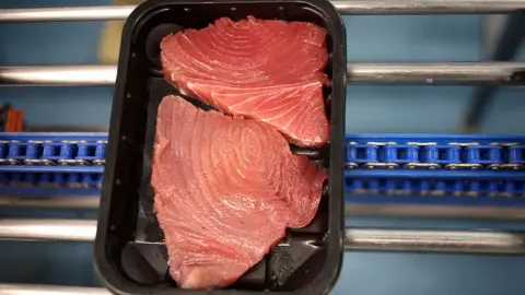 Getty Images yellowfin Maldives tuna on a packaging conveyor belt