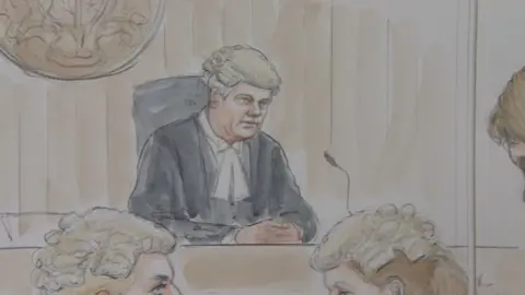 The judge, Recorder Paul Mann QC