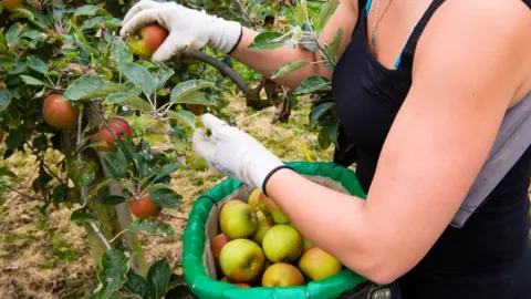 Getty Images farm workers