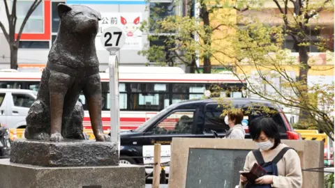 Alexei Zavrachayev/TASS via Getty Images Hachiko