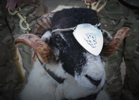 Mercian regiment Private Derby XXXI