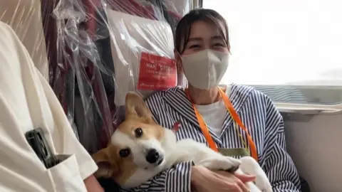 AFP Yoko Okubo with her pet corgi