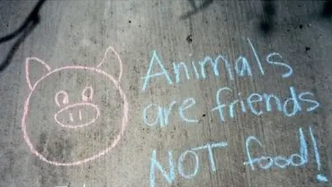 Peta Vegan chalk message on pavement