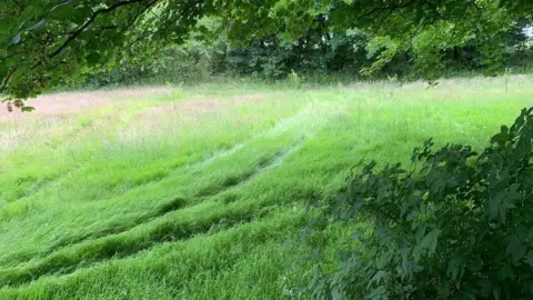 Kathrin Barnes Tyre tracks in field