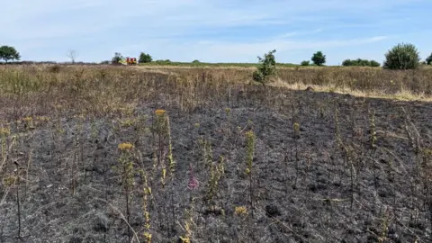 Northamptonshire Fire & Rescue Heathland fire, Northampton