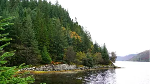 Loch Long Salmon Loch Long