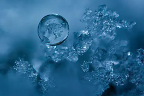 Marianna Klein Ice crystal