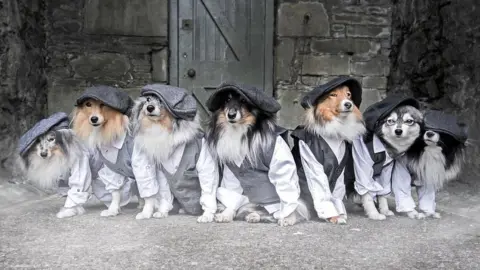 Kaylee Garrick Dogs dressed in waistcoats