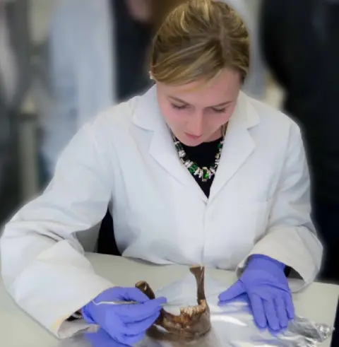 University of York Sampling calculus