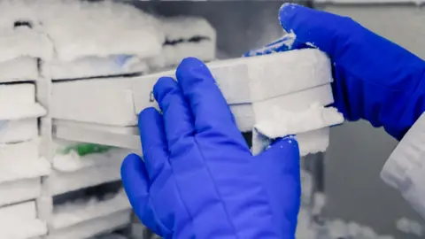 Getty Images gloved hands holding frozen box