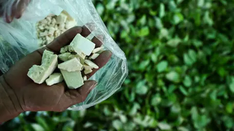 Getty Images A farmer holds cocaine paste processed in Colombia, 25 September 2017