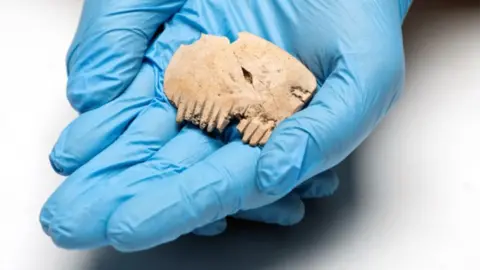 MOLA Skull comb found at Bar Hill