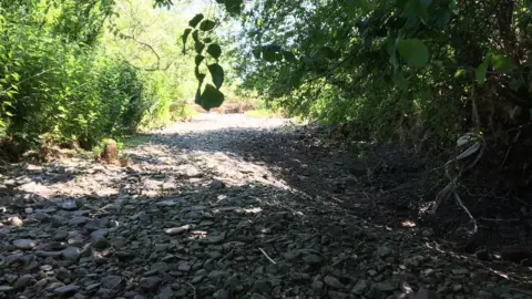 Dave Throup Dry sections of the River Redlake