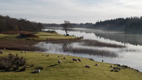 S Littlewood Galloway Glens