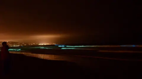 Bryndan Bedel Distant city lights contrast with the algae riding the waves