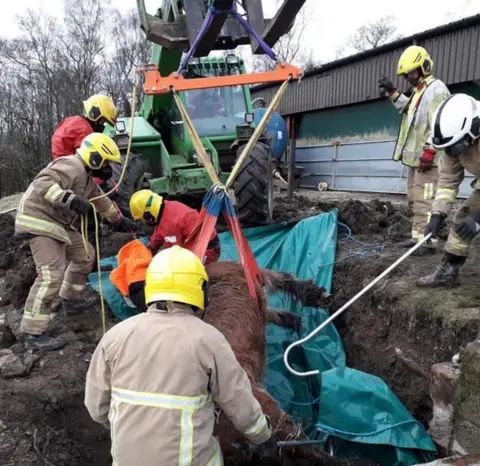 Cumbria Fire and Rescue Service Horse being lifted out