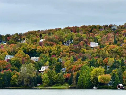 Doug Carter Colourful trees in Canada