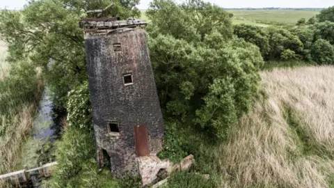 Broads Authority Stone's Mill