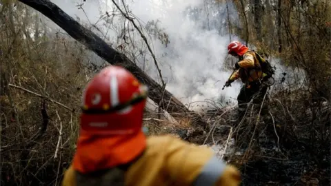 Reuters Firefighters from Argentina are helping extinguish the blazes in Bolivia.