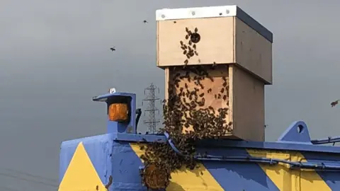 ABP Bees on a crane