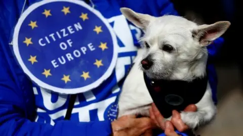 Dog and owner on pro-EU march in London