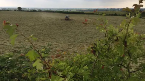 Anna Hart A tractor in a field