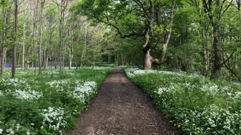 Friends of East Wood East Wood