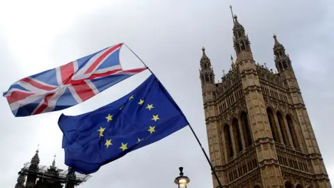 Reuters UK and EU fags outside Parliament