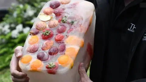 Pacemaker Fruit encased in ice is used to feed some of the animals at Belfast Zoo during hot weather