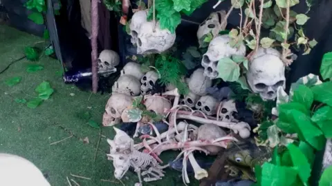 Mark Davenport Skulls display for Halloween