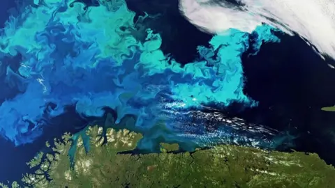 Copernicus Data/Esa Sentinel-3 is a multi-task satellite but the oceans will be a major focus