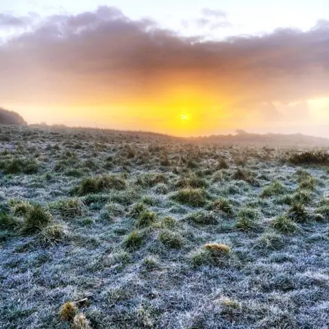 Robin White Frost at Cove