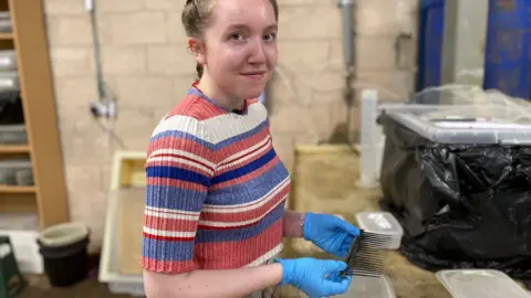 Shaun Whitmore/BBC Scarlett Crowe, assistant conservator at York Archaeological Trust