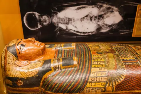 Alamy Display of Egyptian Mummy at Pitt Rivers