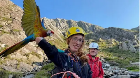 Ogwen Valley Mountain Rescue Team  Parrot Jeckyll and Molly